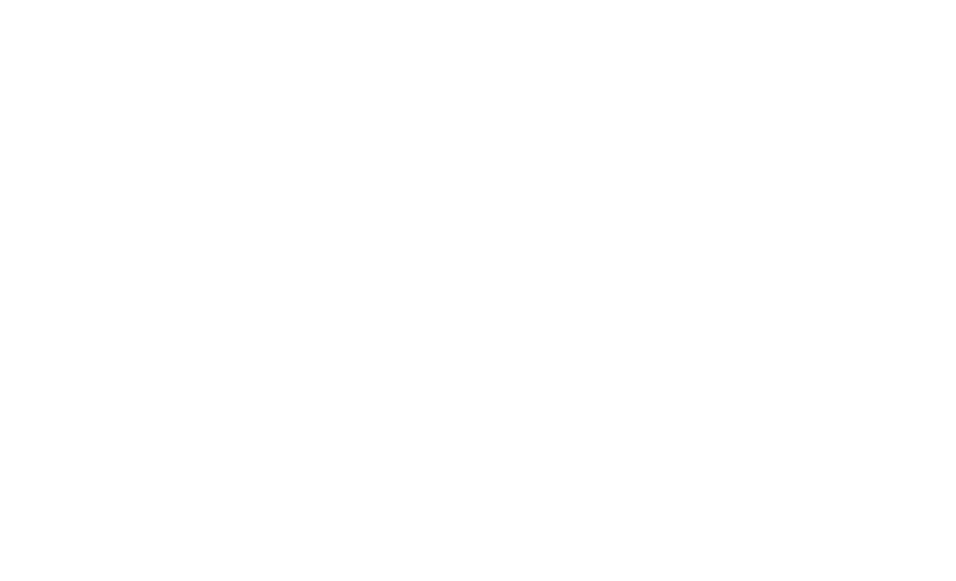 HOLLYTOWN VILLAGE - 